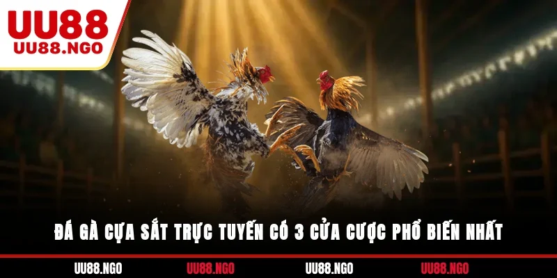 Đá gà cựa sắt trực tuyến có 3 cửa cược phổ biến nhất