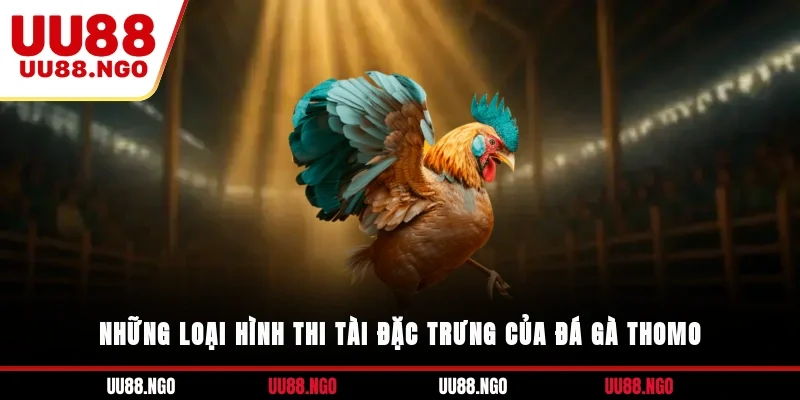 Những loại hình thi tài đặc trưng của đá gà Thomo