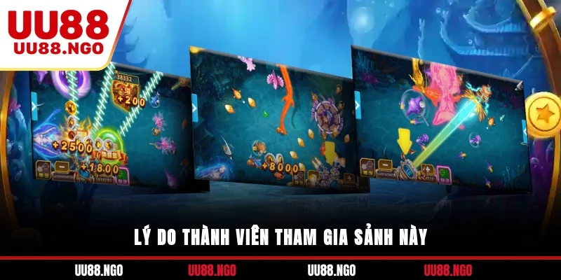 Lý do thành viên tham gia sảnh này